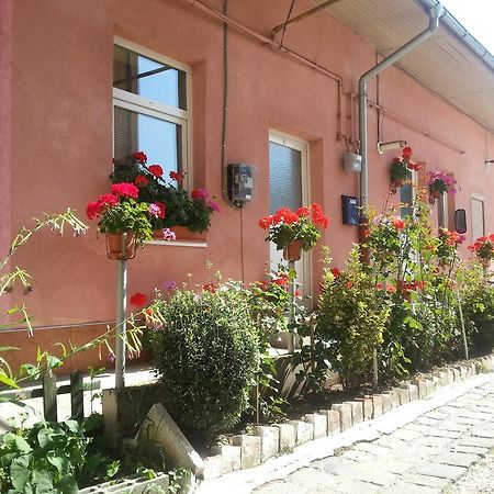 Center Park Apartment Cluj-Napoca Luaran gambar